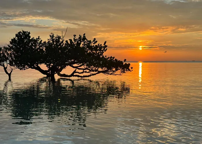 Mangrove Lodge